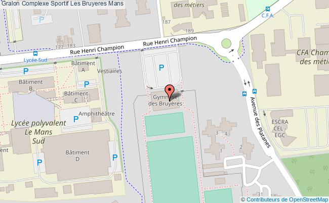 plan-sport-gymnase-de-bruyeres-complexe-sportif-les-bruyeres-mans-66456